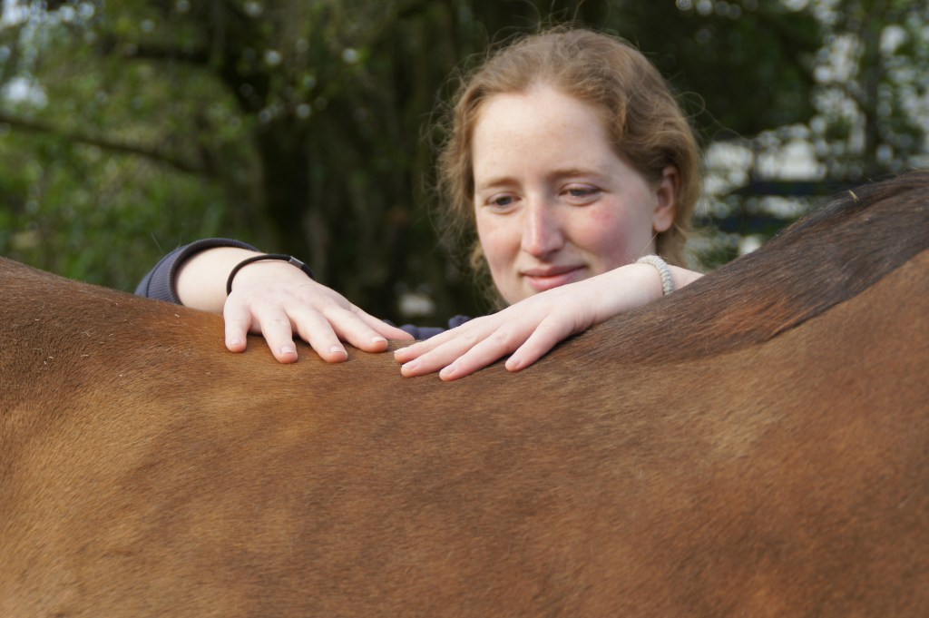 Agathe - Ostéopathie animale